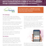 Clear Mountain Bank Case Study