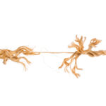 Stickiness Coming Apart: Why Life-Event Relationships Keep Deposits Where They Belong