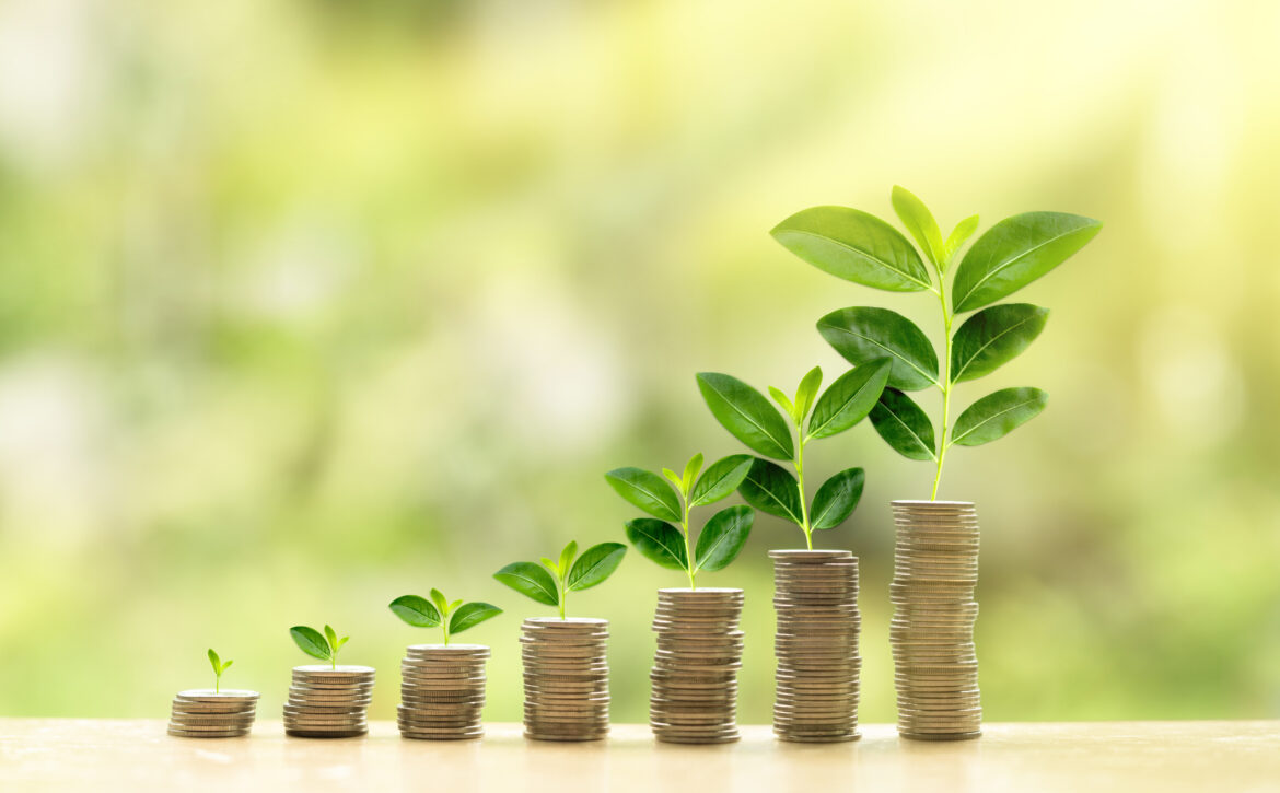 Growing investment concept