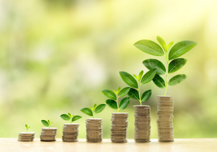 Growing investment concept