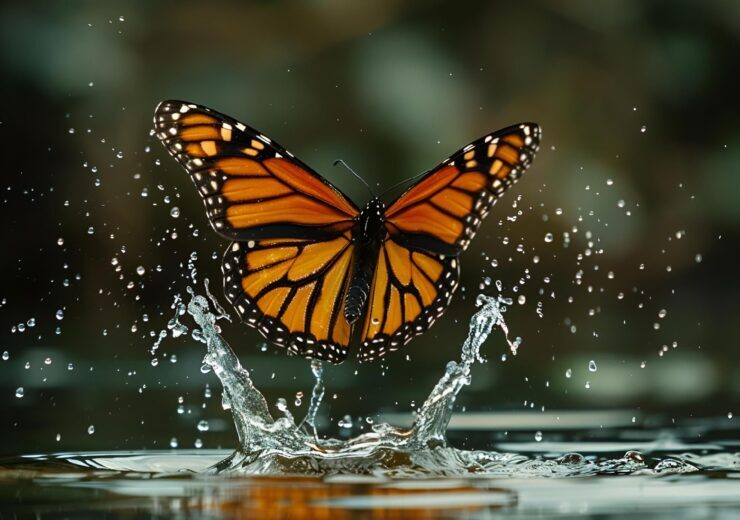 Beautiful macro shot of Monarch butterfly flying near water with splash, against blur background
