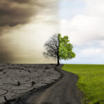 Turning Credit Union Performance Trends Into Growth Opportunities: A Prescreen Marketing Perspective