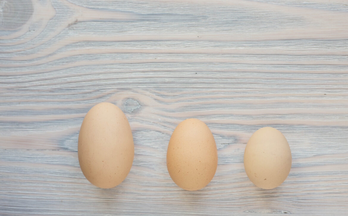 three eggs different sizes