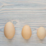 Size Matters — and What Credit Union Leaders Should Do About it