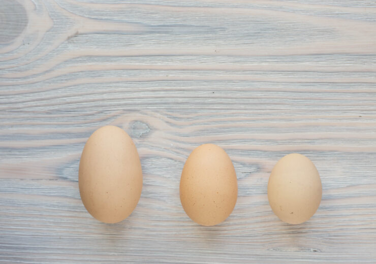 three eggs different sizes